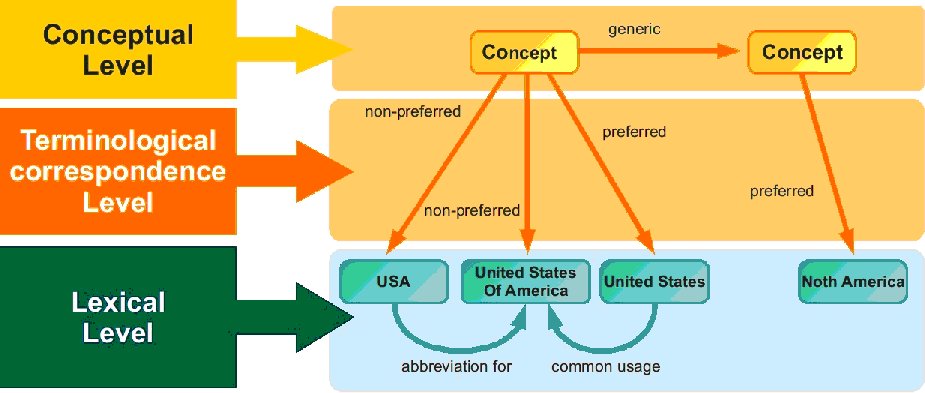 organizational levels of a concept-based thesaurus